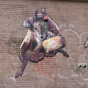 Meet your Posher, Zeushii